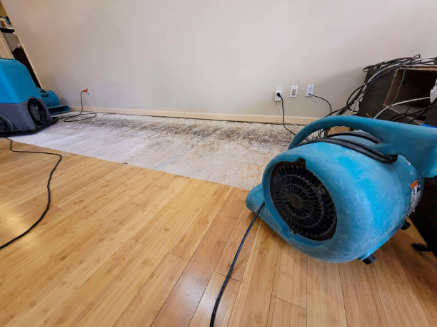 Professional Structural Drying technician working in Lonsdale, MN